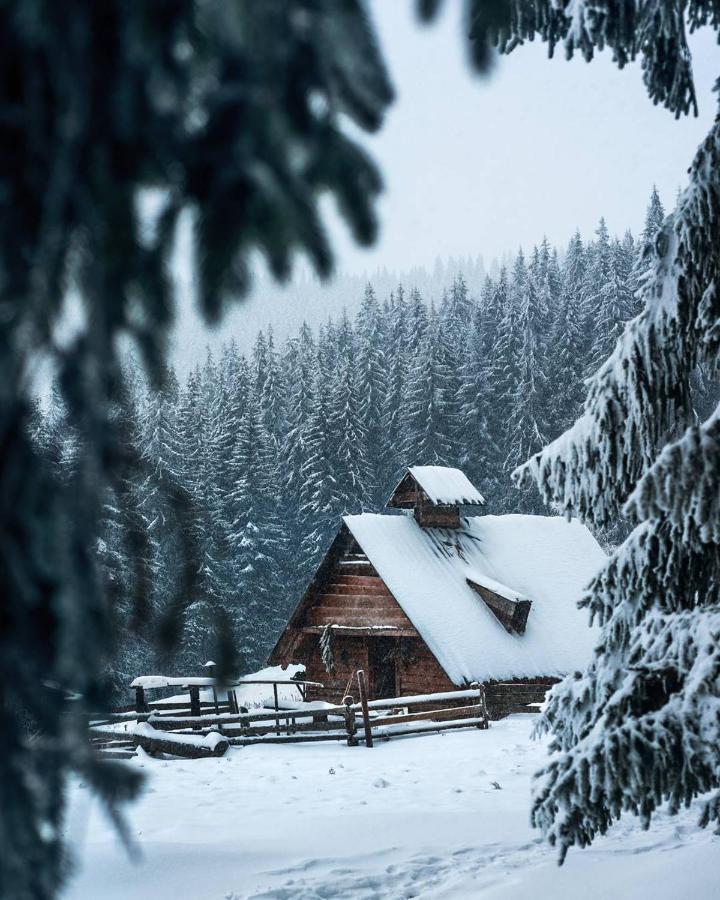 Villa Grand Skhidnytsia Kültér fotó
